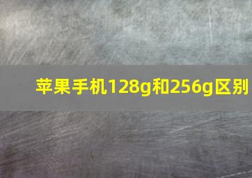 苹果手机128g和256g区别