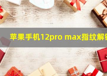 苹果手机12pro max指纹解锁