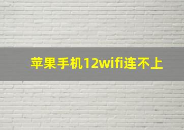 苹果手机12wifi连不上