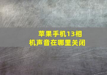 苹果手机13相机声音在哪里关闭