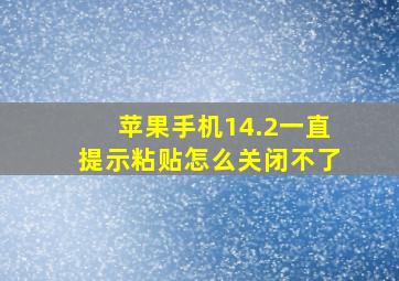 苹果手机14.2一直提示粘贴怎么关闭不了