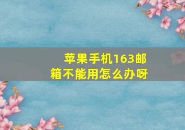 苹果手机163邮箱不能用怎么办呀