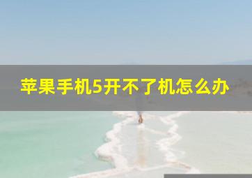 苹果手机5开不了机怎么办