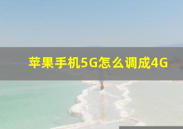 苹果手机5G怎么调成4G