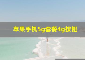 苹果手机5g套餐4g按钮