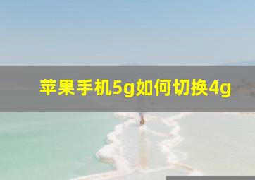 苹果手机5g如何切换4g