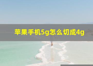 苹果手机5g怎么切成4g