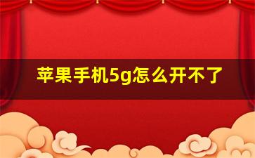 苹果手机5g怎么开不了