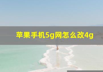 苹果手机5g网怎么改4g