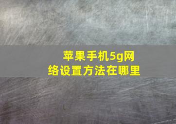 苹果手机5g网络设置方法在哪里