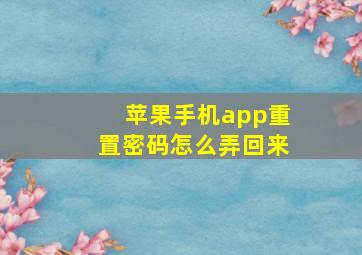 苹果手机app重置密码怎么弄回来