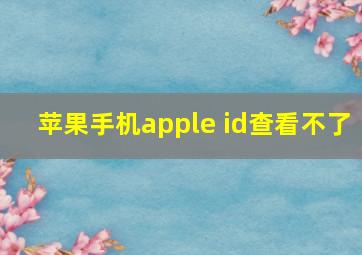 苹果手机apple id查看不了