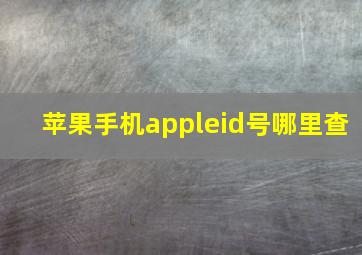 苹果手机appleid号哪里查