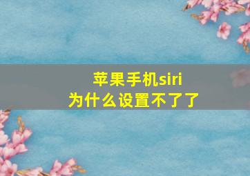 苹果手机siri为什么设置不了了