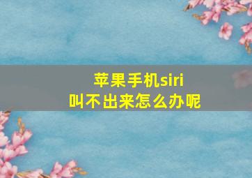 苹果手机siri叫不出来怎么办呢