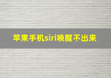 苹果手机siri唤醒不出来