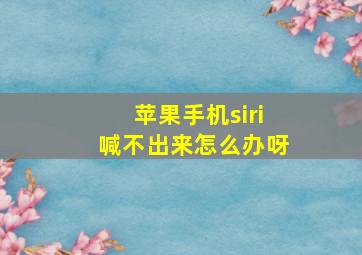 苹果手机siri喊不出来怎么办呀