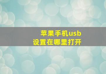 苹果手机usb设置在哪里打开