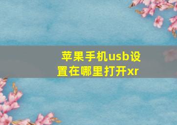 苹果手机usb设置在哪里打开xr