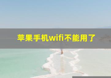 苹果手机wifi不能用了