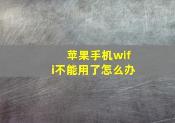 苹果手机wifi不能用了怎么办