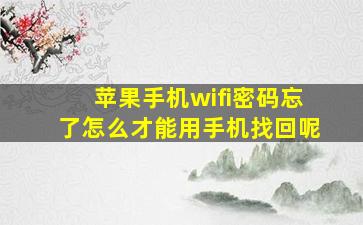 苹果手机wifi密码忘了怎么才能用手机找回呢