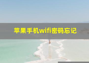 苹果手机wifi密码忘记