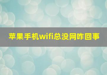 苹果手机wifi总没网咋回事