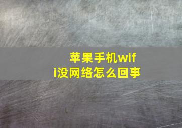 苹果手机wifi没网络怎么回事