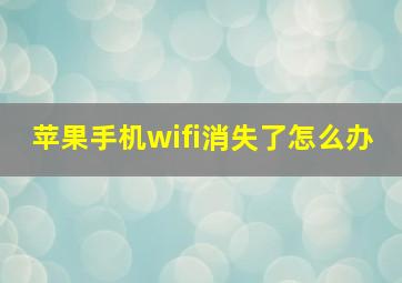 苹果手机wifi消失了怎么办