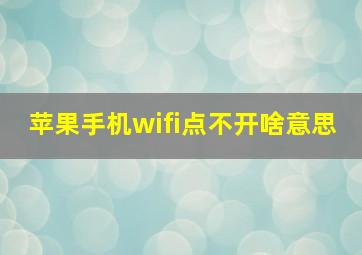 苹果手机wifi点不开啥意思