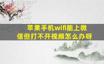 苹果手机wifi能上微信但打不开视频怎么办呀