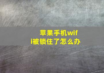 苹果手机wifi被锁住了怎么办