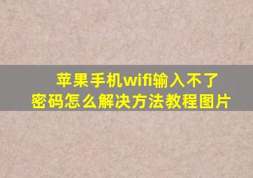 苹果手机wifi输入不了密码怎么解决方法教程图片