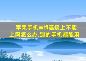 苹果手机wifi连接上不能上网怎么办,别的手机都能用