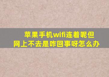 苹果手机wifi连着呢但网上不去是咋回事呀怎么办