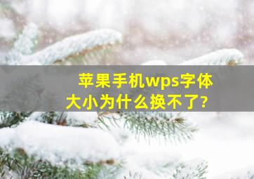 苹果手机wps字体大小为什么换不了?