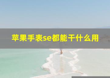 苹果手表se都能干什么用