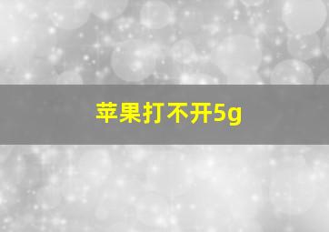 苹果打不开5g