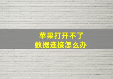 苹果打开不了数据连接怎么办