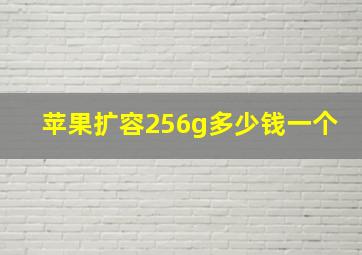 苹果扩容256g多少钱一个