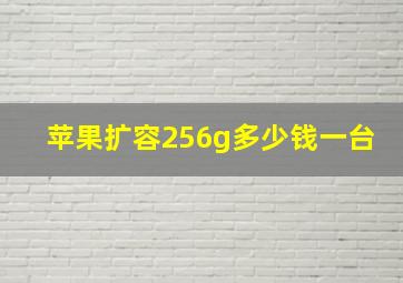 苹果扩容256g多少钱一台