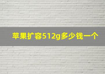 苹果扩容512g多少钱一个