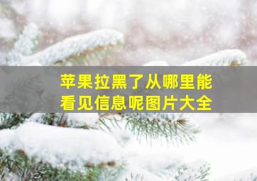 苹果拉黑了从哪里能看见信息呢图片大全