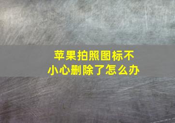 苹果拍照图标不小心删除了怎么办