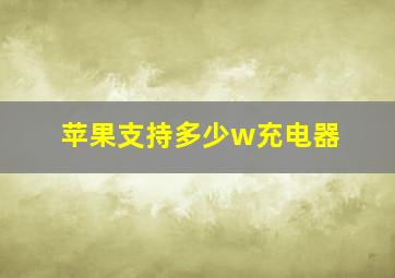 苹果支持多少w充电器