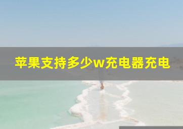 苹果支持多少w充电器充电