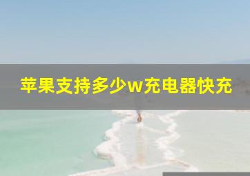 苹果支持多少w充电器快充