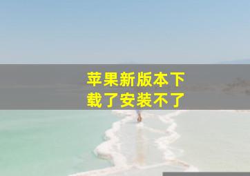 苹果新版本下载了安装不了