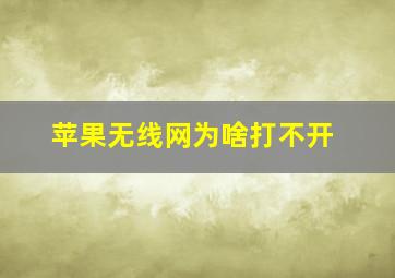 苹果无线网为啥打不开